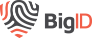 BigID logo